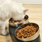 Pet Neck Protection Cat Oblique Mouth Anti-tumble Bowl