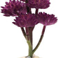 Reptile Plants Artificial