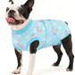Dog Recovery Onesie Suit After Surgery – 4 Colors, XS–2XL