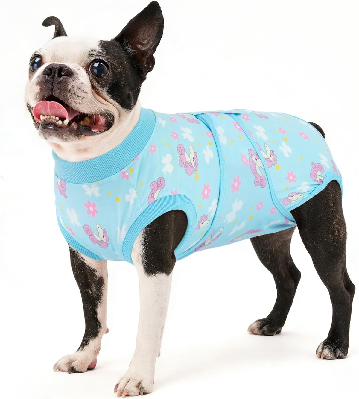 Dog Recovery Onesie Suit After Surgery – 4 Colors, XS–2XL