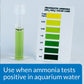 Ammo Lock Freshwater and Saltwater Aquarium Ammonia Detoxifier 1-Gallon Bottle