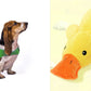 Anxiety Jacket Vest Summer Medical Treatment To Calm Down Cat Clothes Dog Comfort Clothes