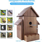 Bird House Camera Solar WiFi 1080P HD Motion Detection Night Vision