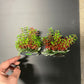 PREMIUM Small Artificial Aquarium Plants - Set of 2 - Aquatics Safe