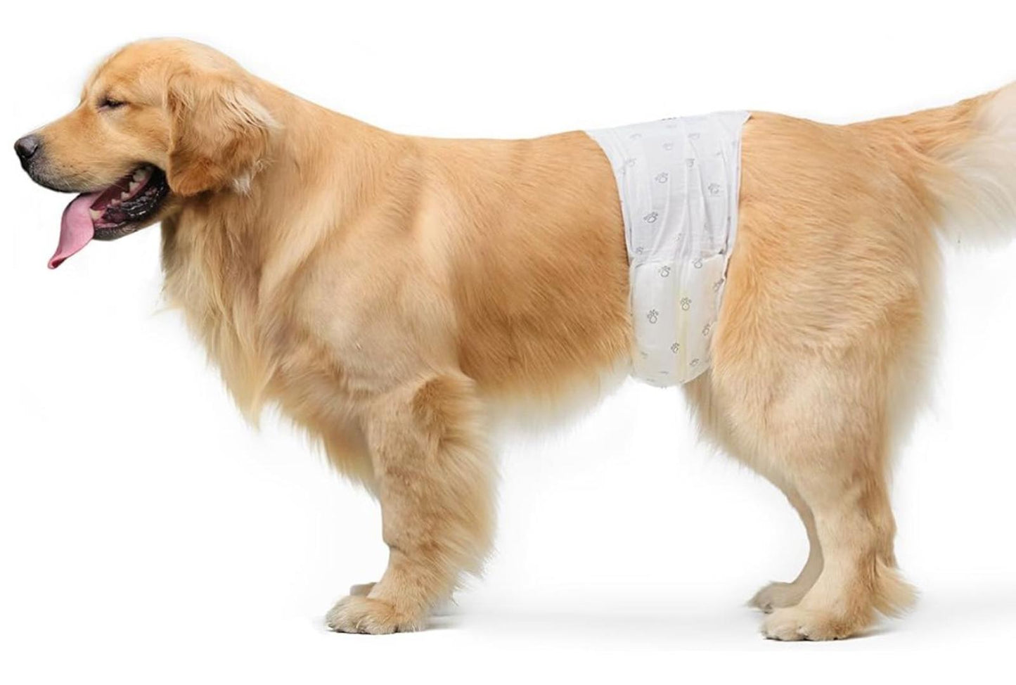 Male Dog Wraps, Disposable - Medium  Pack of 30 Wraps