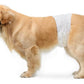 Male Dog Wraps, Disposable - Xtra -Small Pack of 30 count