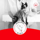 Senior Cat Wet Food 11+ Royal Canin Aging Thin Slices Gravy 3oz 12 Pack