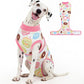Dog Recovery Onesie Suit After Surgery – 4 Colors, XS–2XL