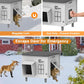 Elevated Insulated Heated Cat House with Escape Door, Standard