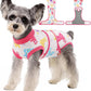 Female Dog Recovery Suit After Spay, XS–2XL