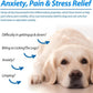 Hemp Oil for Dogs & Cats — Calming, Joint & Skin Support | 60ml Daily Supplement