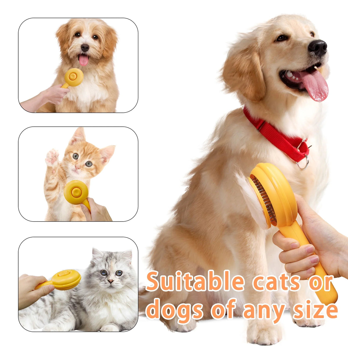 Cepillos para gatos de interior