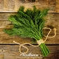 Dukat Dill – 100 Seeds