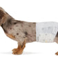 Male Dog Wraps, Disposable - Small Pack of 30 count