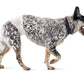 Male Dog Wraps, Disposable - Small Pack of 50 Wraps