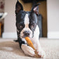 Dogginstix Bully Stick Dog Chew, All-Natural, Grass-Fed Beef, Odor-Free