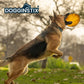 Dogginstix Natural Beef Collagen UFO Dog Chew & Toy – Long Lasting, Digestible, High Protein