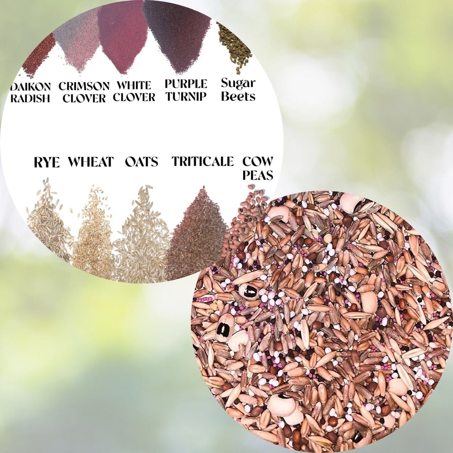 Whitetail Deer Food Plot Seeds - 10 Way Mix - 8 Pound - Dinner Getter - For Planting