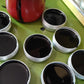 Drawing Salve | Activated Charcoal | Bite Relief