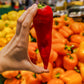 60 RED MARCONI PEPPER Rossa Large Sweet Italian Frying Capsicum Annuum Seeds