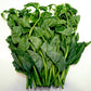 50 GREEN VINES SUPREME MALABAR SPINACH Ceylon Basella Alba Vegetable Seeds