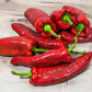60 RED MARCONI PEPPER Rossa Large Sweet Italian Frying Capsicum Annuum Seeds