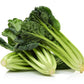 1000 TATSOI Brassica Rapa Rosularis Tat Soi Bok Choy Spinach Mustard Vegetable Seeds
