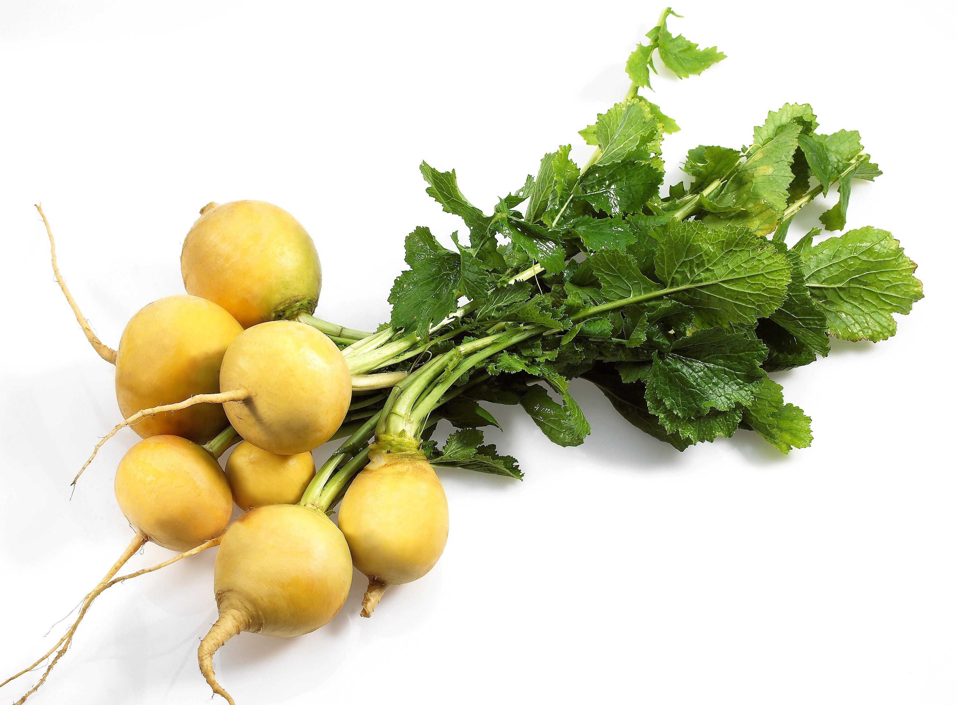 1000 GOLDEN BALL TURNIP Heirloom Yellow Brassica Rapa Root Vegetable S ...