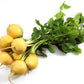 1000 GOLDEN BALL TURNIP Heirloom Yellow Brassica Rapa Root Vegetable Seeds