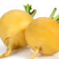 1000 GOLDEN BALL TURNIP Heirloom Yellow Brassica Rapa Root Vegetable Seeds