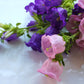 150 Mixed Colors CUP & SAUCER (Canterbury Bells) Campanula Medium Flower Seeds