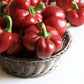 100 PIMENTO PEPPER (Red Sweet Pimientio / Italianelle / Cheese, Roasting, Frying Pepper) Capsicum Annuum Seeds