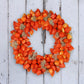 100 CHINESE LANTERN (Winter or Ground Cherry / Japanese Lantern) Physalis Alkekengi Flower Seeds