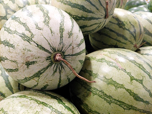 50 DIXIE QUEEN WATERMELON White & Red Citrullus Lanatus Melon Fruit Vine Seeds
