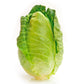 300 CHARLESTON WAKEFIELD CABBAGE Heirloom Cone Brassica Oleracea Vegetable Seeds