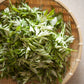 1000 JAPANESE MUGWORT Artemisia Princeps Korean Wormwood Yomagi Herb Yellow Flower Seeds