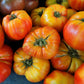 50 OAXACAN JEWEL TOMATO Bicolor Golden Yellow Striped Red Mexican Lycopersicon Vegetable Seeds
