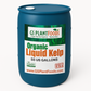 Organic Liquid Kelp Seaweed
