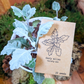 Dusty Miller Mix Seeds
