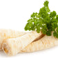 Dutch Hamburg Parsley Root Sugar Heirloom Herbs Vegetable Non GMO - 2000 Seeds