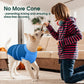Female Dog Recovery Suit After Spay, XS–2XL