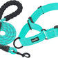 2 Packs Dog Training Collars for Small Medium Large Dogs
