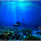 Aquarium Poster, Effect Underwater Background Sticker Thicken PVC Adhesive Static Cling Backdrop Fish Decorative Paper(61×30Cm)