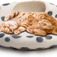 Merino Wool Cat Cave – Handmade Hideaway, 20 Styles