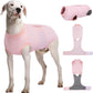 Female Dog Recovery Suit After Spay, XS–2XL