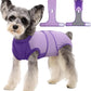 Female Dog Recovery Suit After Spay, XS–2XL
