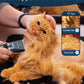 Cat Clippers for grooming