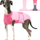 Female Dog Recovery Suit After Spay, XS–2XL