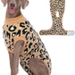Dog Recovery Onesie Suit After Surgery – 4 Colors, XS–2XL