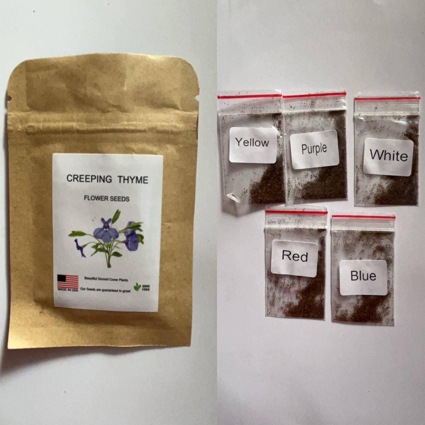 5 Types Of Seeds,Mix Creeping Thyme Seeds Ground Cover For Planting,Heirloom Non-GMO Thyme Purple, White, Red, Yellow Beautiful Perennial Flower